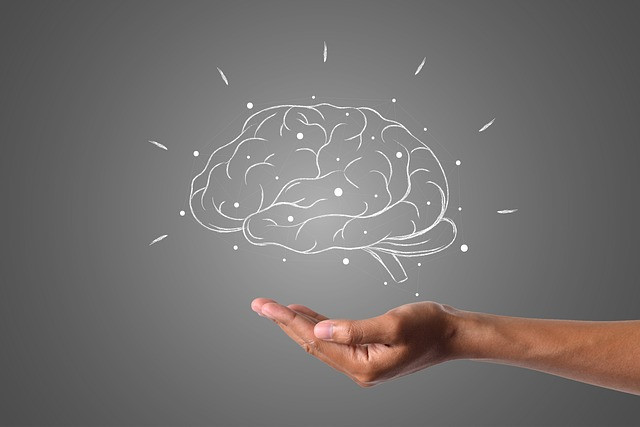 Foto portada Neurohabilidades para la vida cotidiana
