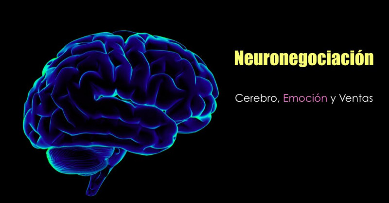 imagen portada Taller de Neuronegociación