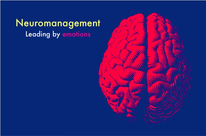 imagen portada Neuromanagement