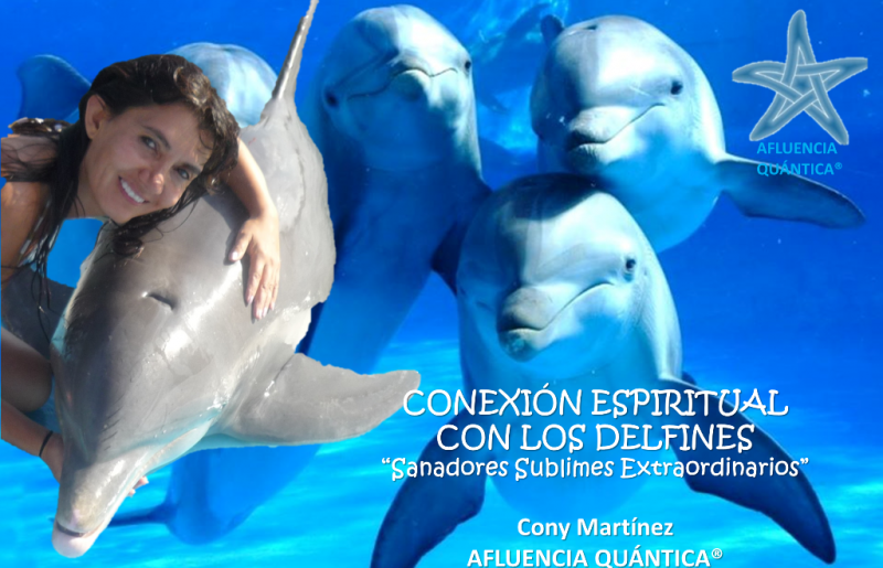 imagen portada CONEXIÓN ESPIRITUAL CON DELFINES, PRE REQUISITO PARA EL VIAJE SAGRADO CON DELFINES ROSADOS, EN VIDEOS Y AUDIOS