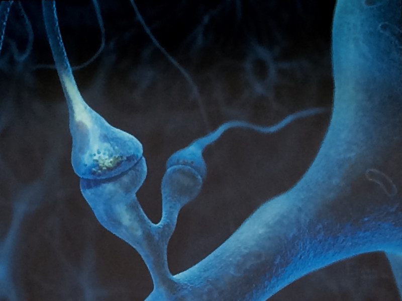 imagen portada Neurociencia Aplicada