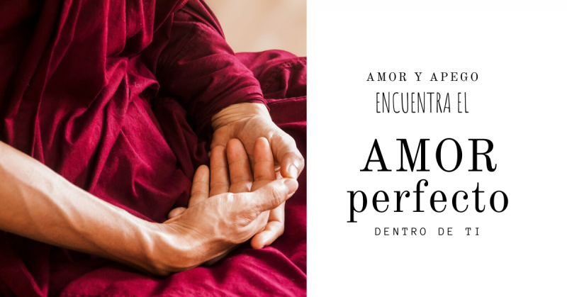 imagen portada Amor y Apego: Encuentra el amor perfecto dentro de ti.