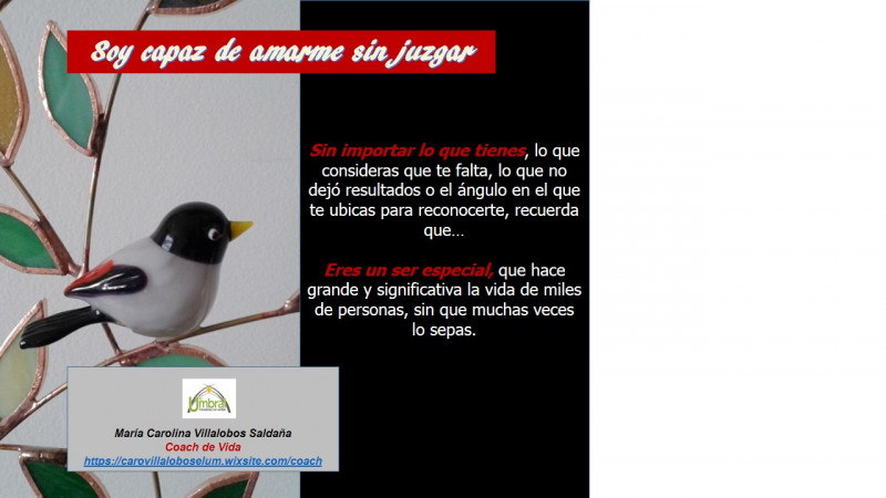 imagen portada Rituales de Sanación: Sexual - Familiar - Niño Interior