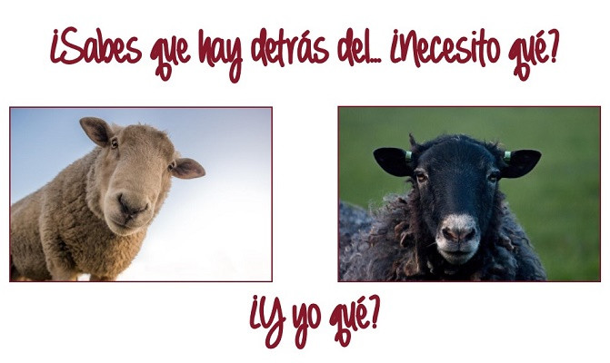 imagen portada NECESITO QUE....