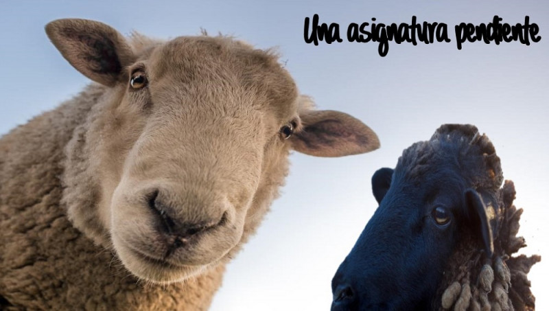 imagen portada UNA ASIGNATURA PENDIENTE