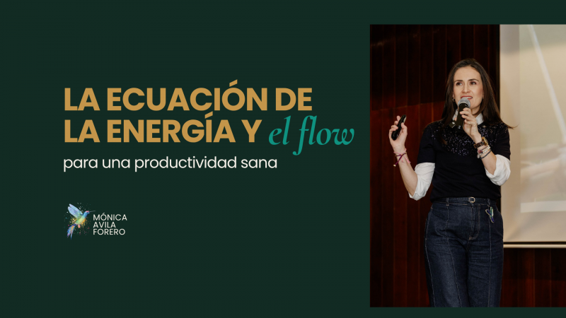 imagen portada La Ecuación de la Energía y el Flow, para una productividad sana