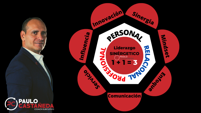imagen portada Liderazgo Sinergético