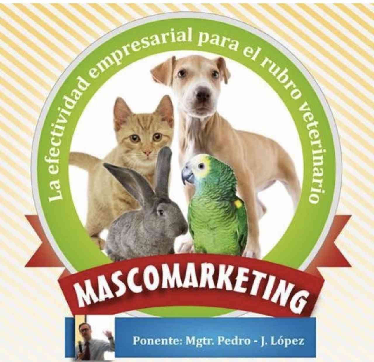 Foto portada Mascomarketing