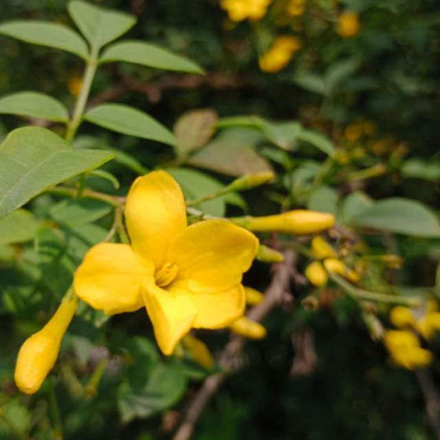 foto perfil M.A.S.G.