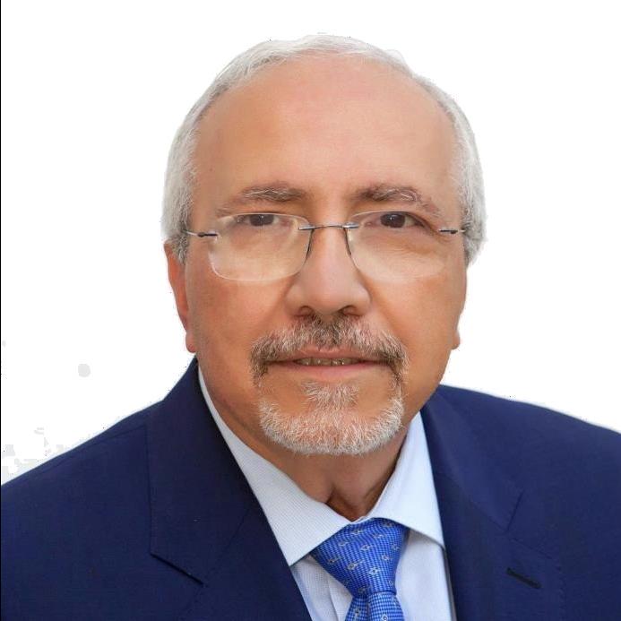 foto perfil Luis Baras Japón