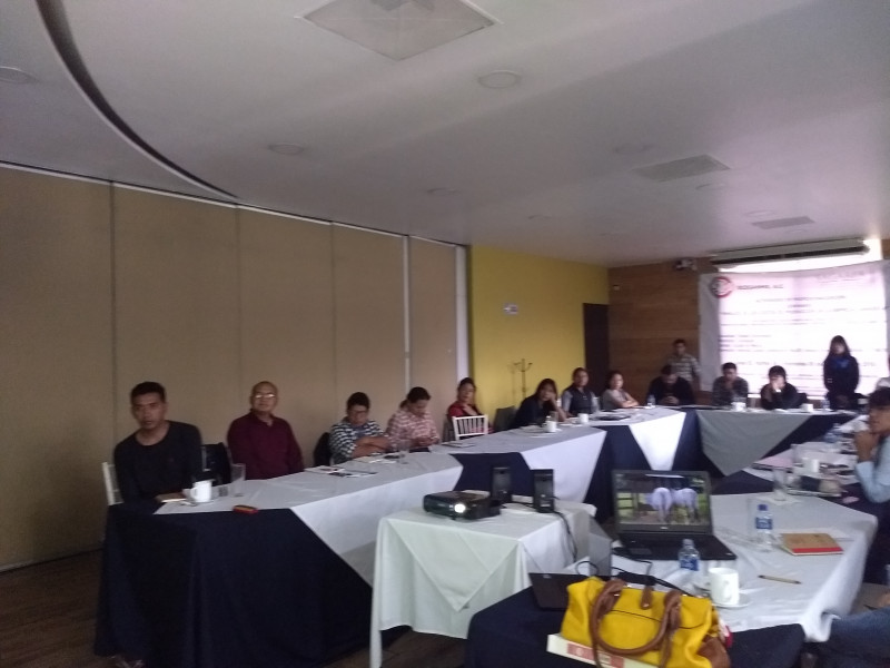 Galeria de Arminda Taboada Reyes