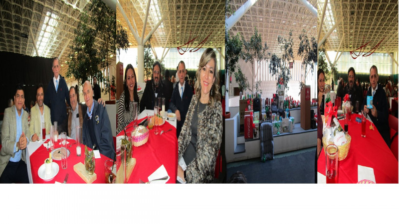 Galeria de Dr. En C.E. Mario Zúñiga Marín