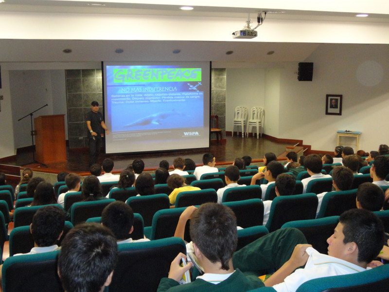 Galeria de JULIO CESAR LOZANO CRUZ