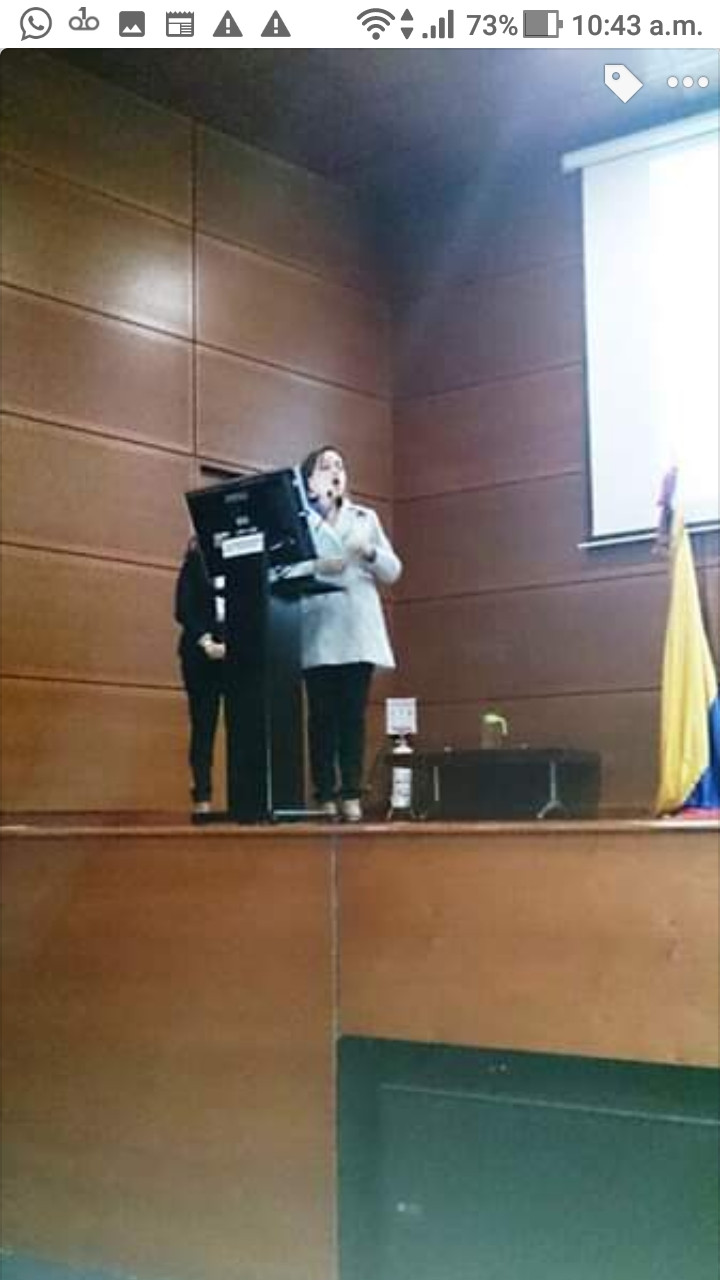 Galeria de Lisa Tamayo