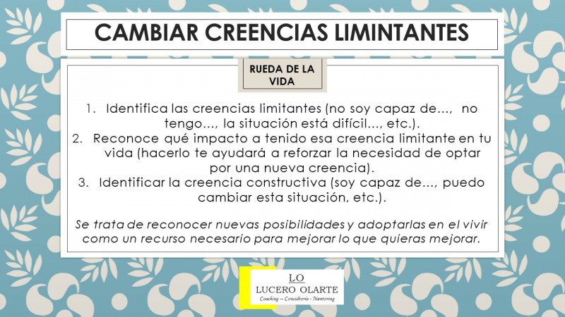Galeria de Lucero Olarte Santoyo