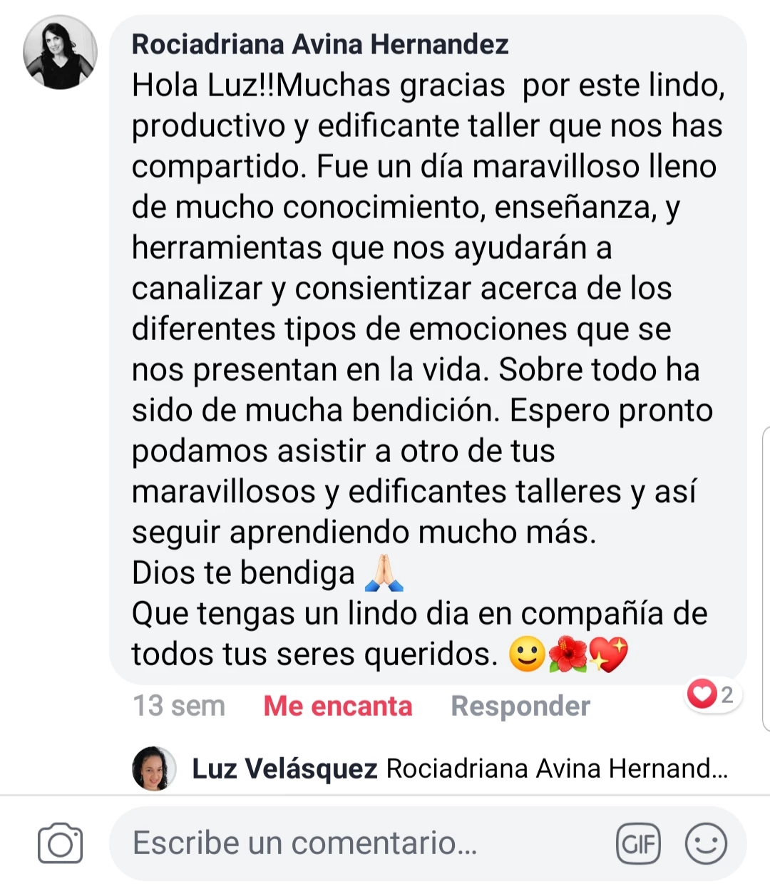 Galeria de Luz Velasquez