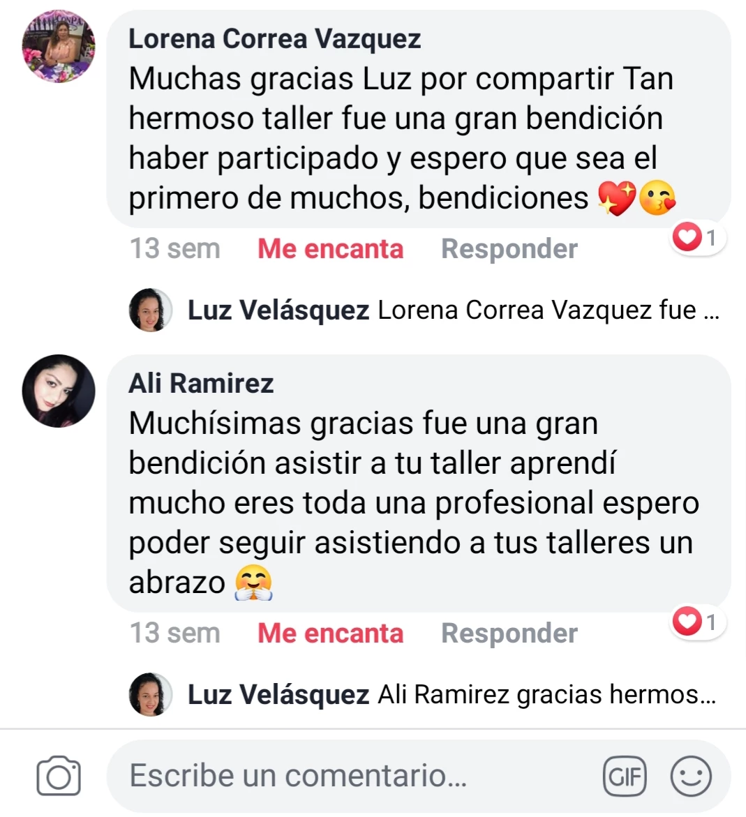 Galeria de Luz Velasquez