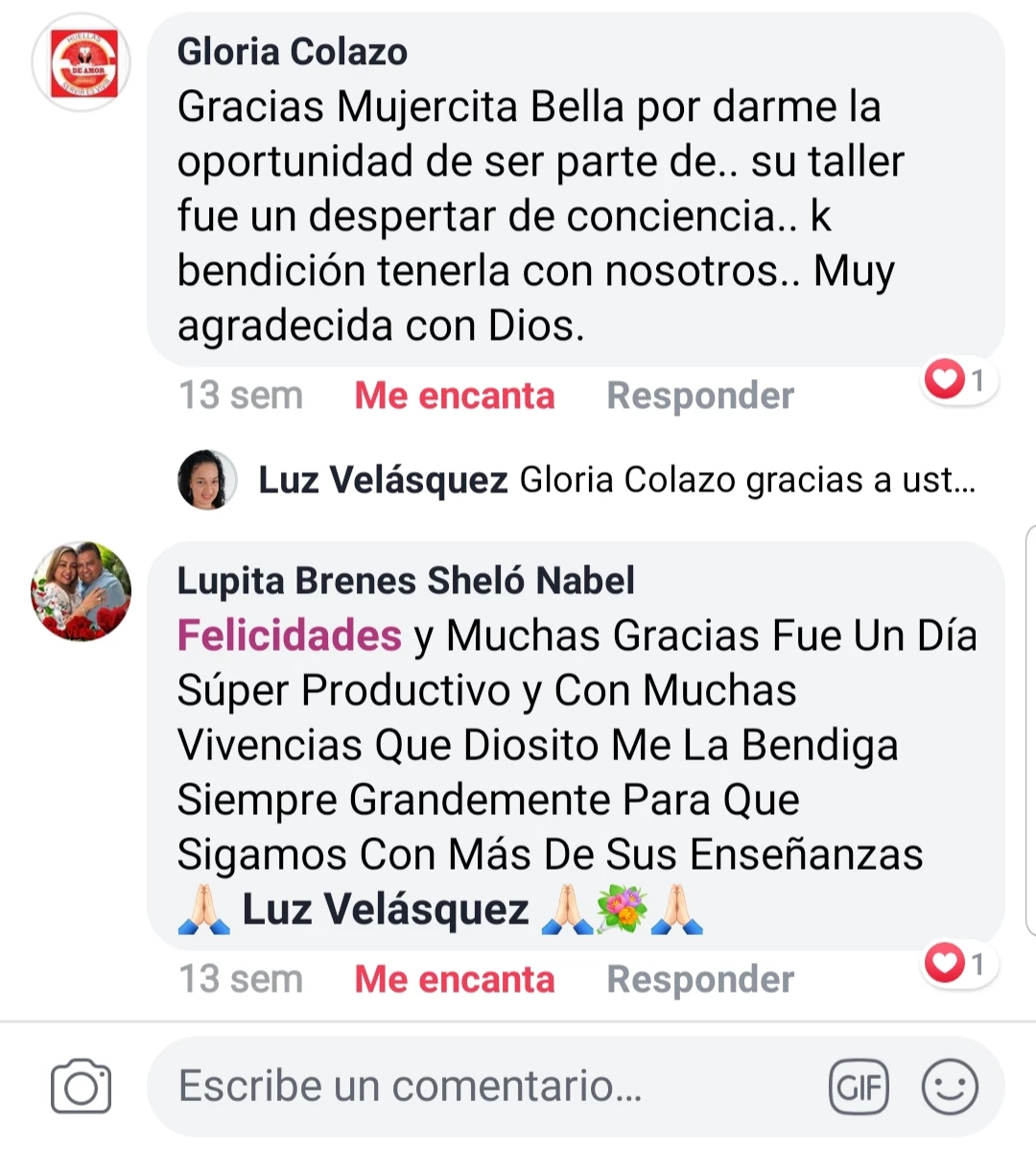 Galeria de Luz Velasquez
