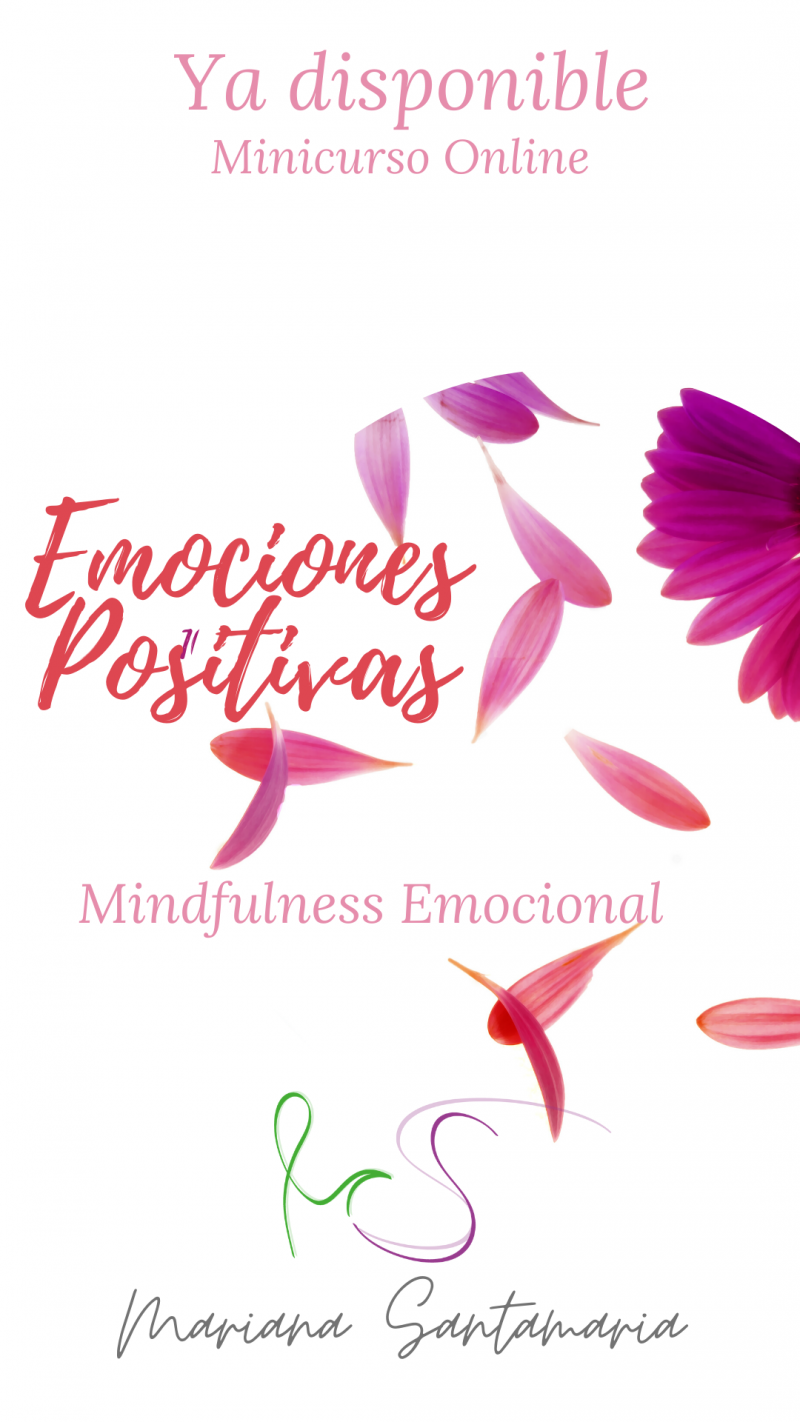 Galeria de Mariana Santamaría Amaya