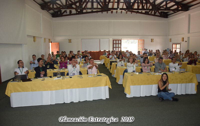 Galeria de MUSTAFA BADAWY