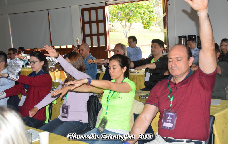 Galeria de MUSTAFA BADAWY