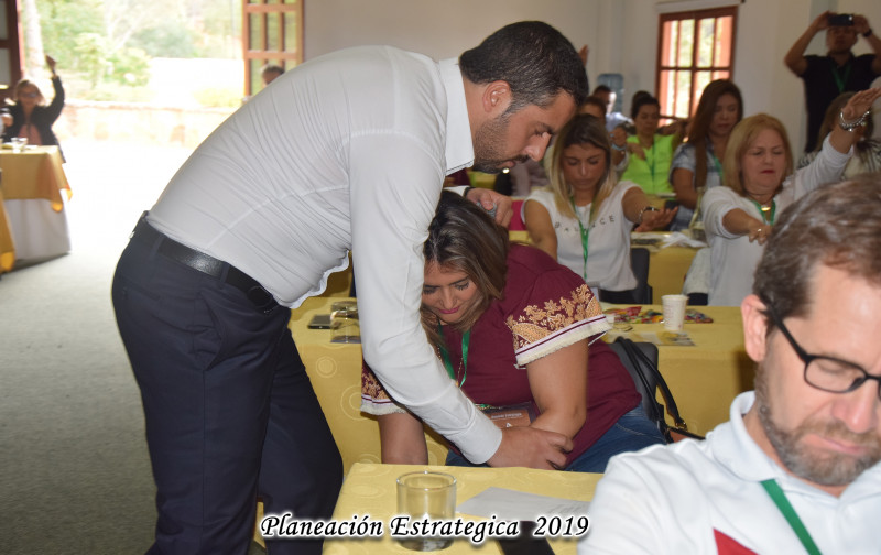 Galeria de MUSTAFA BADAWY