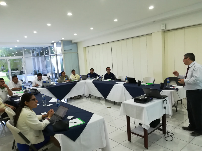 Galeria de Raul Gomez-Velasquez S.