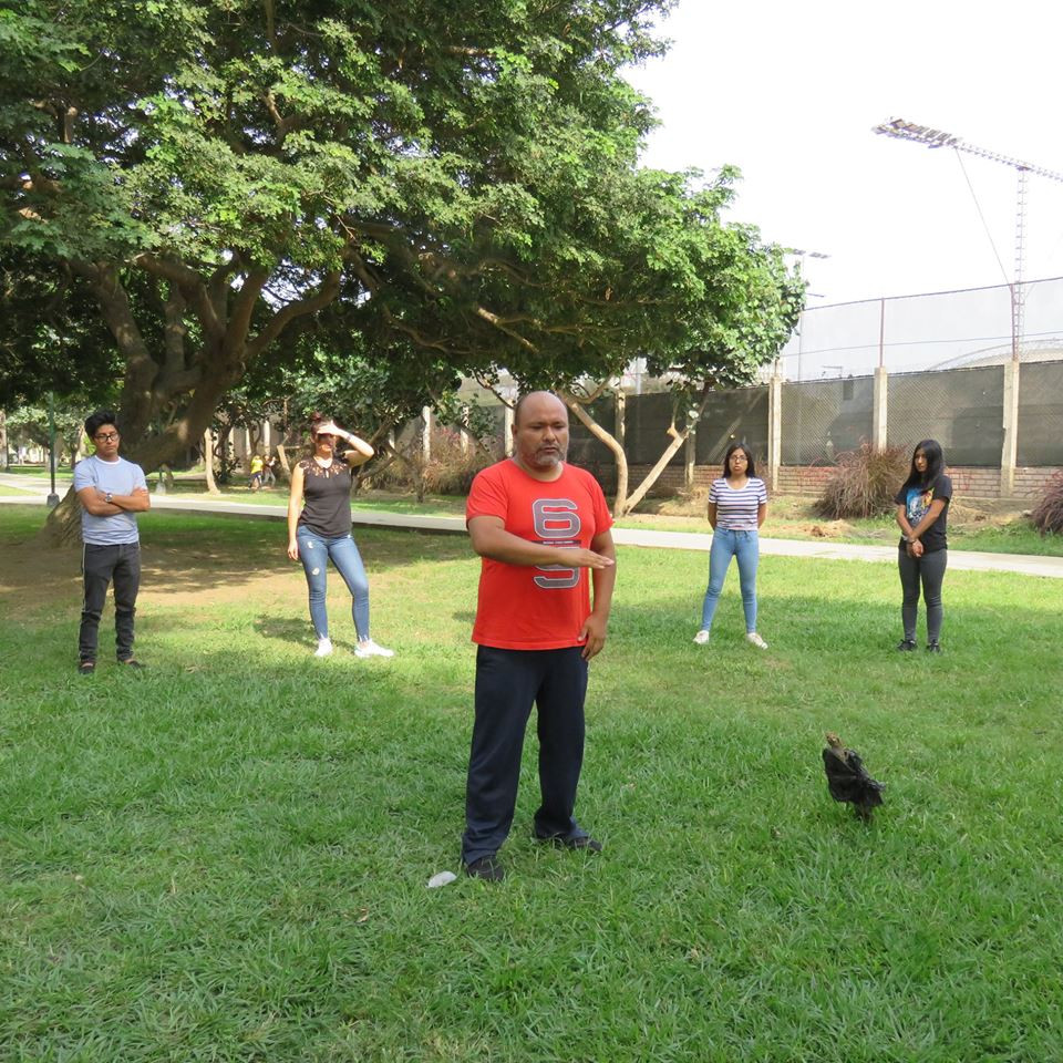 Galeria de Robert Bruno